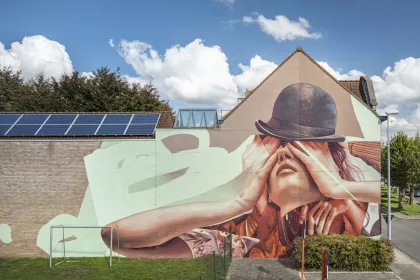 Bigger view of Telmo Miel street art Rodenbach
