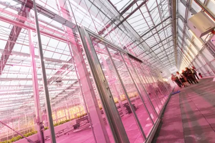 Agrotopia
