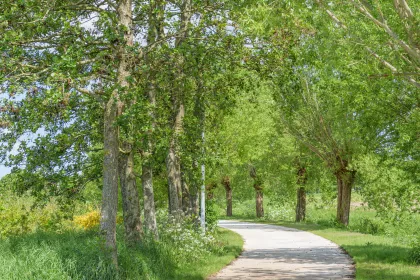 Bigger view of Krommebeekbos