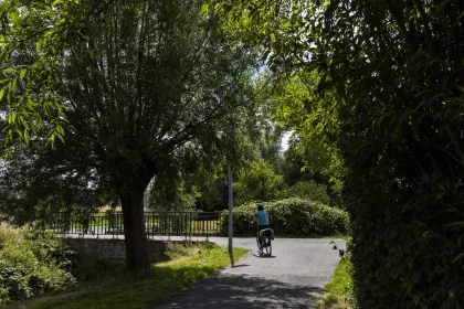 Bigger view of Fietsen in het Krommebeekbos