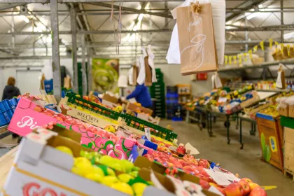 Hoorne Groenten en Fruit