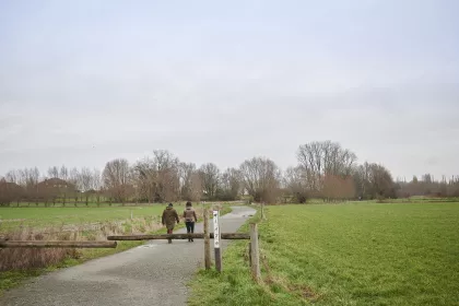Wandelen in het Bergmolenbos