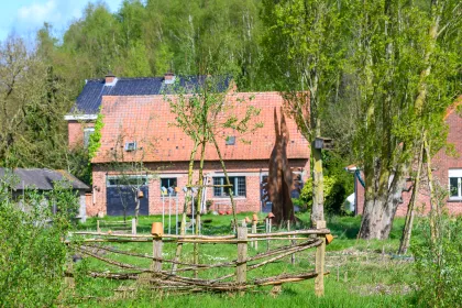 In 't Wilde Weg Slow Flower Farm