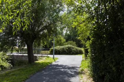 Krommebeekbos