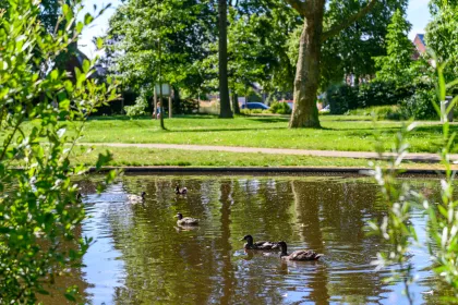 Park van de walle