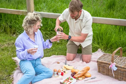 Picknick V2