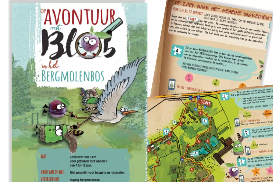 Bigger view of Voorbeeld brochure Blob in het Bergmolenbos
